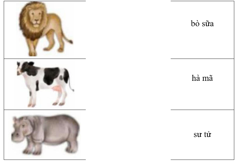 Hãy ghép hình ảnh với từ tương ứng. (ảnh 1)