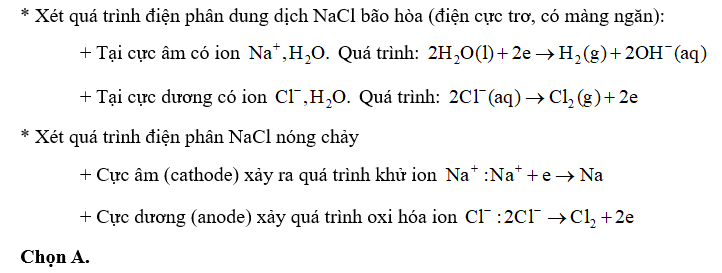 Quá trình điện phân dung dịch NaCl bão hòa (điện cực trơ, có màng ngăn) và điện phân NaCl nóng chảy (điện cực trơ) có điểm giống nhau là (ảnh 1)