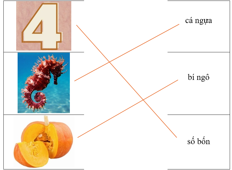 Hãy ghép hình ảnh với từ tương ứng. (ảnh 2)