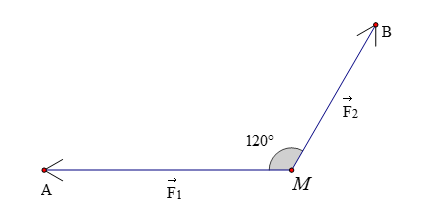Cho hai lực  vecto F1, F2 c&ugrave;ng t&aacute;c động v&agrave;o một chất điểm  M (ảnh 1)
