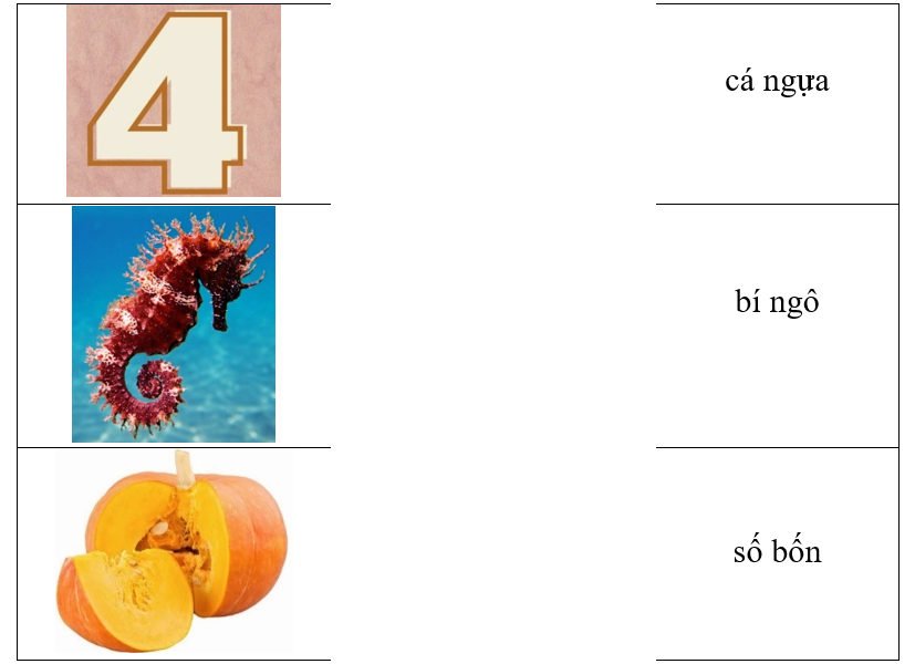 Hãy ghép hình ảnh với từ tương ứng. (ảnh 1)