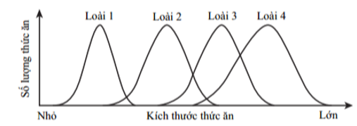 Phân tích đồ thị và cho biết có bao nhiêu nhận định dưới đây đúng? (ảnh 1)