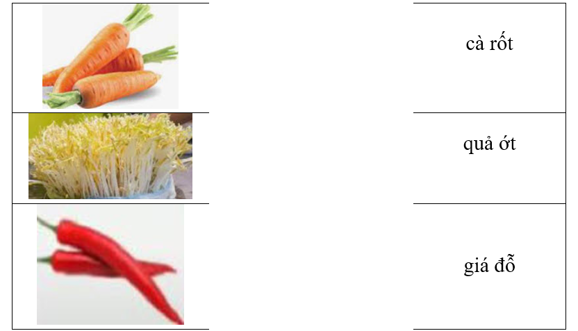 Hãy ghép hình ảnh với từ tương ứng. (ảnh 1)