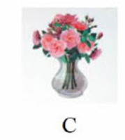 Tên đồ vật nào dưới đây có vần 