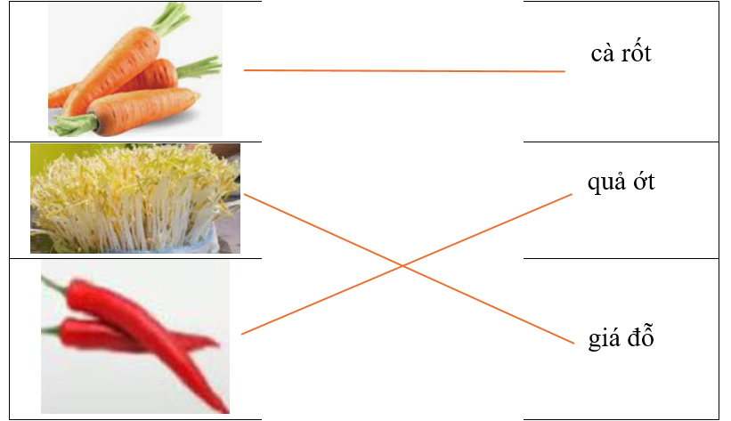 Hãy ghép hình ảnh với từ tương ứng. (ảnh 2)