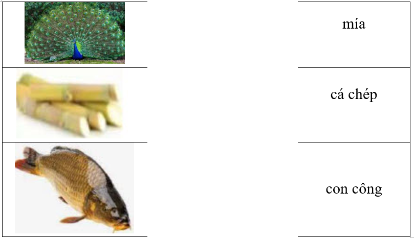 Hãy ghép hình ảnh với từ tương ứng. (ảnh 1)