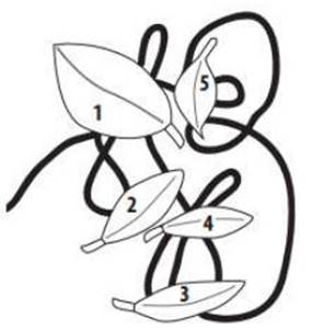 A drawing of a person with leaves

Description automatically generated