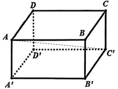 Cho hình lập phương \[ABCD.A'B'C'D'\]. Gọi là tâm của hình lập phương. Khẳng định nào sau đây là đúng? (ảnh 1)