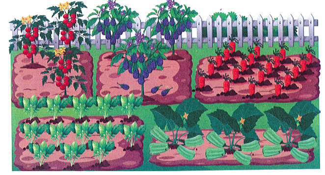 Quan sát bức tranh và làm theo yêu cầu: (ảnh 1)