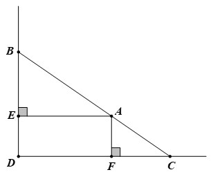 Người ta giăng lưới để nuôi riêng một loại cá trên một góc hồ. Biết rằng lưới được giăng (ảnh 2)