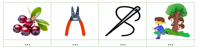 Viết các từ “quả sim, kim chỉ, trốn tìm, cái kìm” dưới hình phù hợp: (ảnh 1)