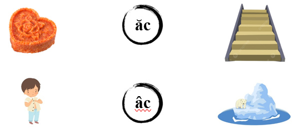 Nối đúng các hình sau: (ảnh 1)