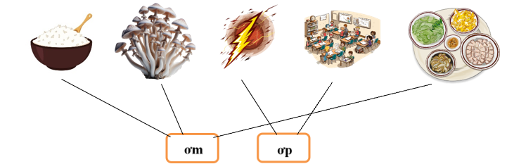 Nối đúng các hình sau: (ảnh 1)