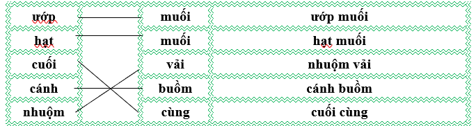 Nối đúng rồi viết lại từ ngữ: (ảnh 2)