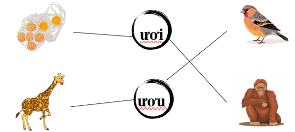 Nối đúng các hình sau: (ảnh 2)