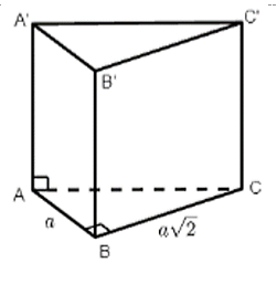 Cho hình lăng trụ đứng ABC.A'B'C' có đáy ABC là tam giác vuông tại (ảnh 1)