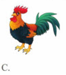 Tên con vật nào dưới đây chứa tiếng có vần 