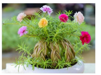 Em hãy điền vần 