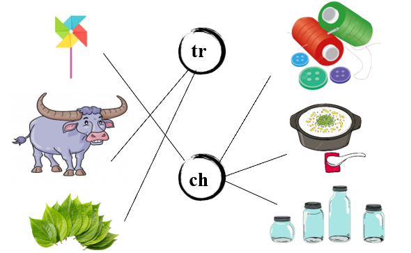 Nối đúng các hình sau: (ảnh 2)