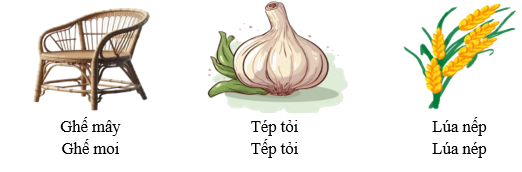 Gạch chân dưới từ phù hợp với hình minh họa: (ảnh 1)