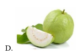 Giải câu đố sau: Quả gì như quả bóng xanh Đung đưa trên cành chờ tết Trung thu? (ảnh 5)