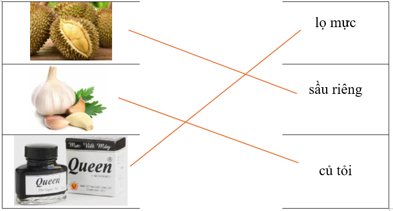 Hãy ghép hình ảnh với từ tương ứng. (ảnh 2)