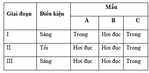 Hãy cho biết nhận định nào sau đây về sự có mặt của các nhóm vi sinh vật trong 3 mẫu trên là không đúng? (ảnh 1)