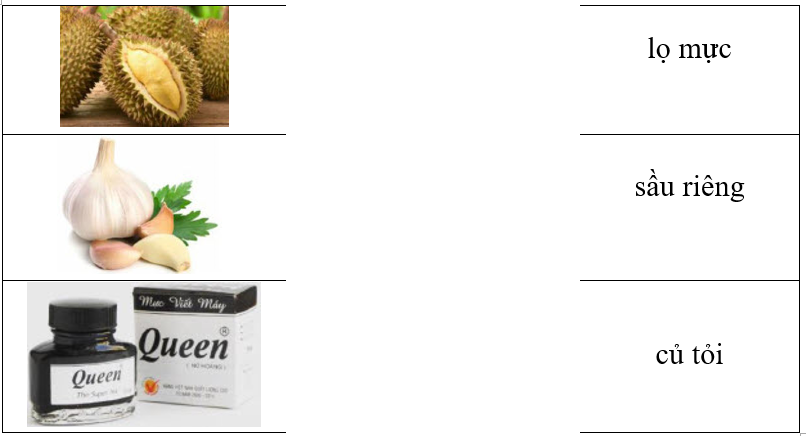 Hãy ghép hình ảnh với từ tương ứng. (ảnh 1)