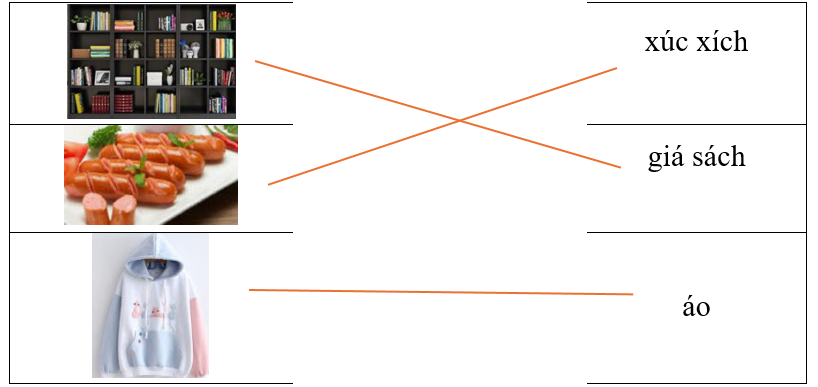 Hãy ghép hình ảnh với từ tương ứng. (ảnh 2)