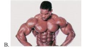 Em hãy chọn các bức ảnh sự vật trong tên gọi có chứa tiếng có vần 