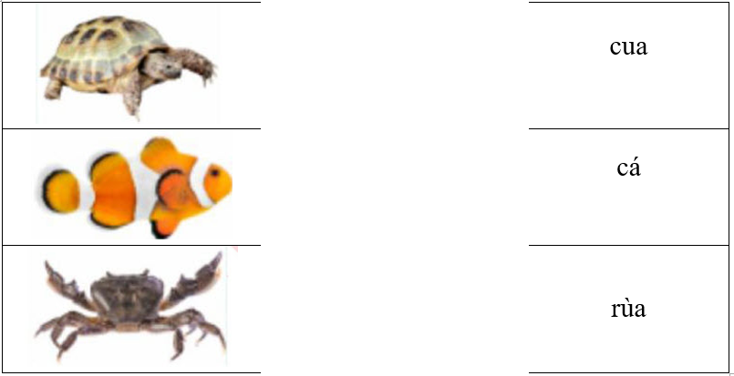 Hãy ghép hình ảnh với từ tương ứng. (ảnh 1)