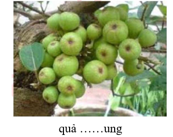 Điền chữ thích hợp vào chỗ trống: (ảnh 1)