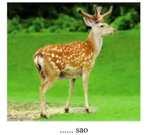 Em hãy chọn từ thích hợp điền vào chỗ trống: (ảnh 1)