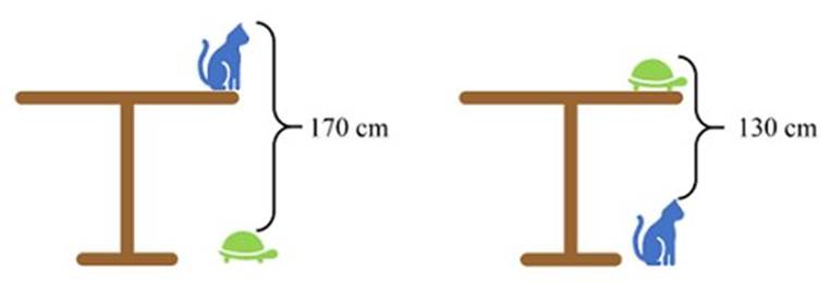 A diagram of a table and a table

Description automatically generated with medium confidence