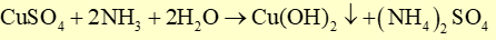 Nhỏ từ từ dung dịch NH3 cho đến dư vào ống nghiệm đựng dung dịch CuSO4. Hiện tượng quan sát được là (ảnh 1)