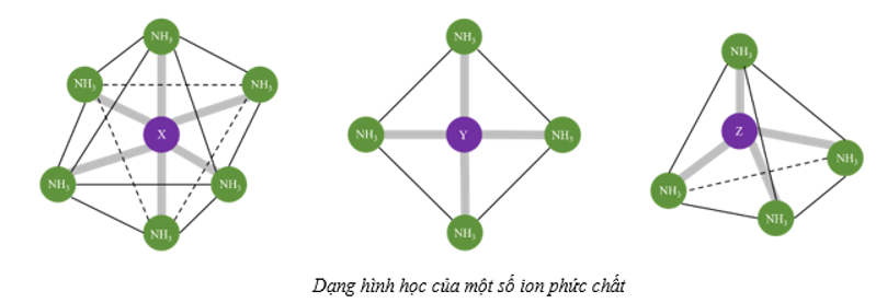 Quan sát hình dưới đây: (ảnh 1)