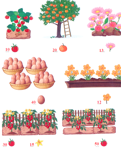 Bài tập cuối tuần Toán lớp 1 Kết nối tri thức Tuần 19 có đáp án (ảnh 2)