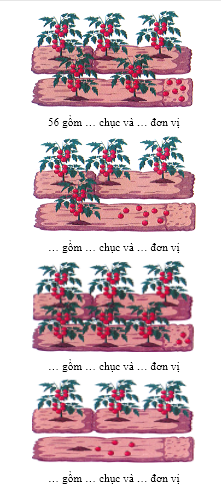 Bài tập cuối tuần Toán lớp 1 Kết nối tri thức Tuần 20 có đáp án (ảnh 1)