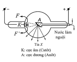 Để chuẩn đo&aacute;n h&igrave;nh &auml;nh trong y học người ta thường sử dụng tia X (hay tia Rơn-ghen) để chụp X quang (ảnh 1)