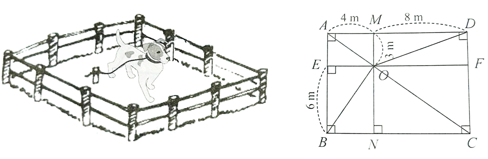 Người ta buộc chú cún bằng sợi dây có một đầu buộc cố định tại điểm O làm cho chú cún cách điểm O xa nhất là 9m Hỏi với các kích thước đã cho như hình trên, chú cún có thể đến các vị trí A,,B,C,D để canh giữ mảnh vườn hình chữ nhật ABCD hay không? (ảnh 1)
