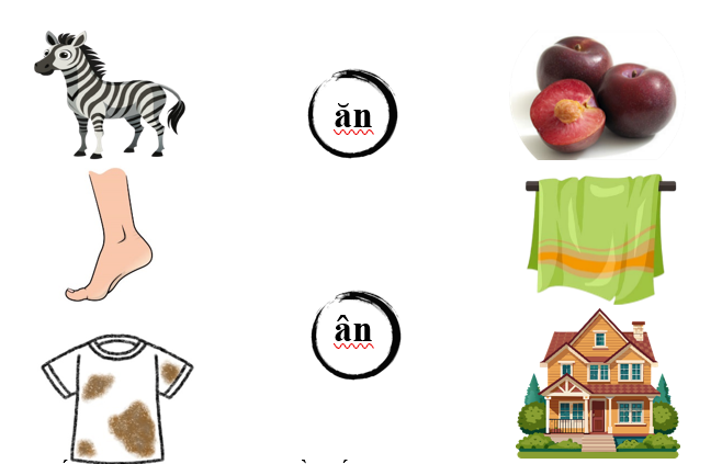 Nối đúng các hình dưới : (ảnh 1)