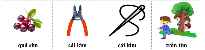 Viết các từ “quả sim, kim chỉ, trốn tìm, cái kìm” dưới hình phù hợp: (ảnh 2)