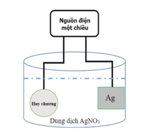 Tiến hành mạ bạc cho một huy chương bằng kim loại đồng (copper) theo sơ đồ minh họa bên dưới. (ảnh 1)