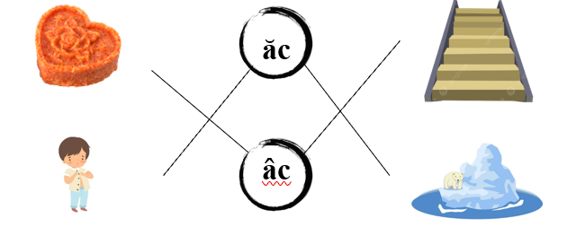 Nối đúng các hình sau: (ảnh 2)