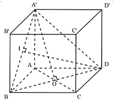 Cho lăng trụ tứ giác đều ABCD.A'B'C'D' có AA' = 1 (ảnh 1)
