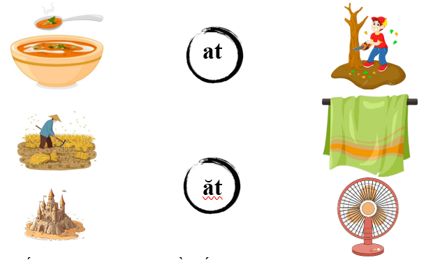 Nối đúng: các hình sau: (ảnh 1)