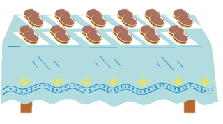 Chiếc bàn tiệc dạng hình chữ nhật có chiều dài 12dm (ảnh 1)