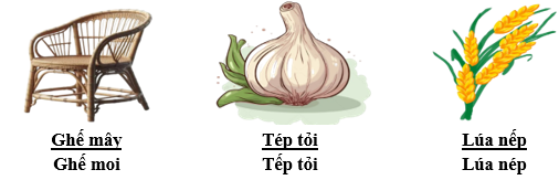 Gạch chân dưới từ phù hợp với hình minh họa: (ảnh 2)