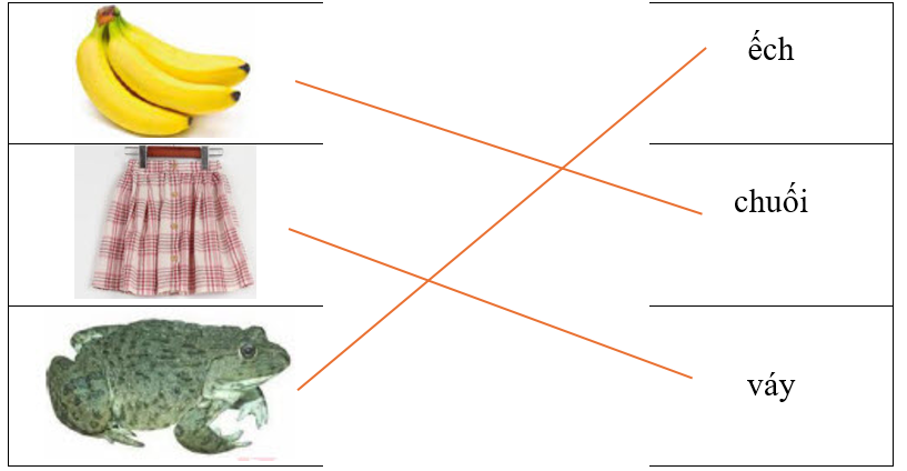 Hãy ghép hình ảnh với từ tương ứng. (ảnh 2)