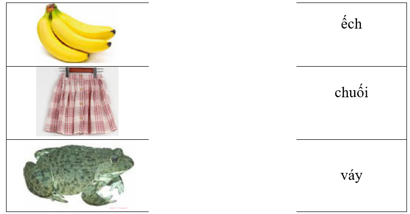 Hãy ghép hình ảnh với từ tương ứng. (ảnh 1)